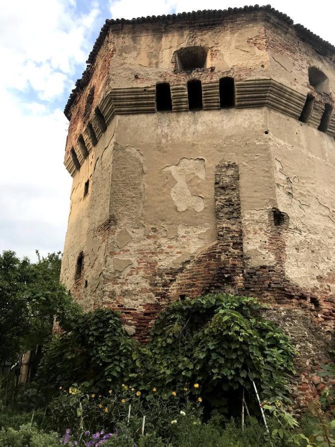 Tanners Tower Condo With A Fireplace Sibiu Exteriör bild